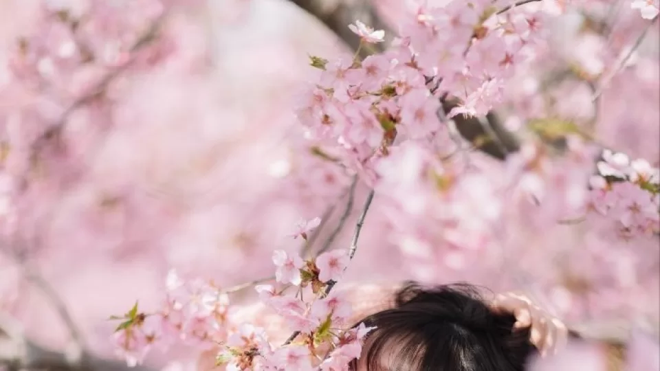52吃瓜移动精选新内容:蜜桃视频首页|移动端在线观影|章节节奏索引播放预览封面